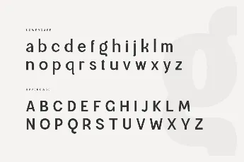 SS Magnetic font