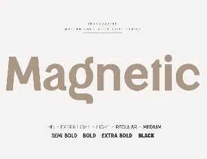 SS Magnetic font