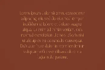 Xena font