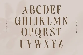 Bilqust font