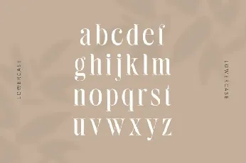 Bilqust font