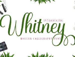 Whitney Script font