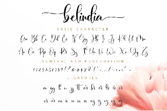 Belindia font