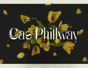 Cas Phillway font