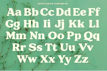 Maple Drive font