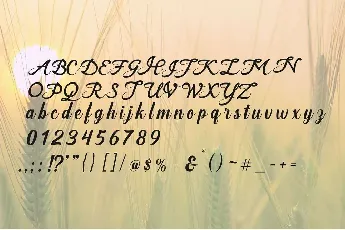 Kaira Skine font