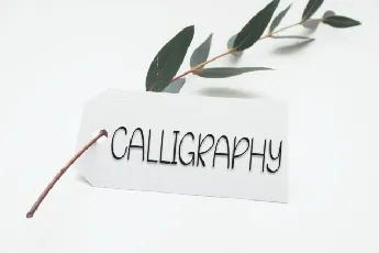 Handmade Calligraphy Display font