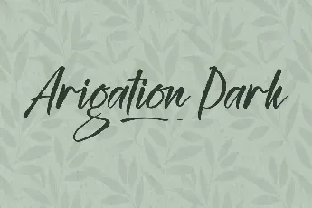 Arigation Park Demo font