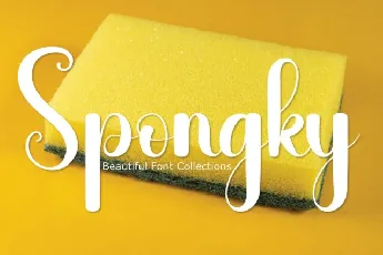 Spongky Script font