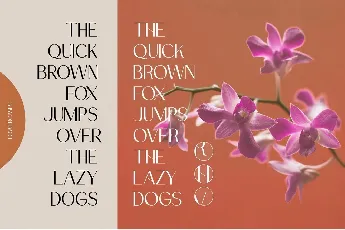 Drakors font