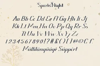 Spark Night Demo font