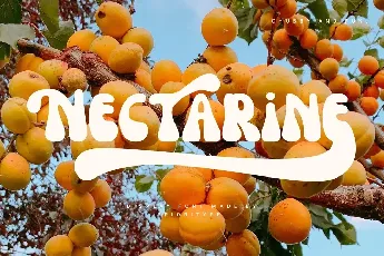 Nectarine font