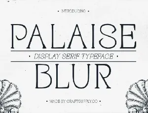 Palaise Blur font