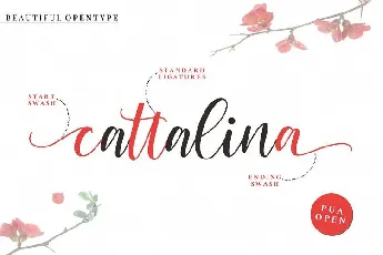 Cattalina Calligraphy font