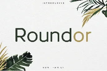 RoundorNonCommercial font