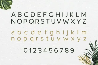 RoundorNonCommercial font