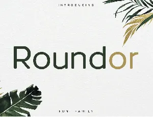 RoundorNonCommercial font