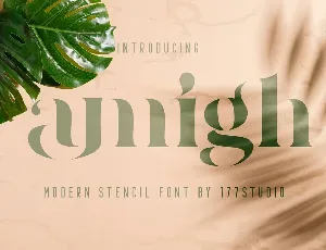 Amigh Modern Serif Stencil font