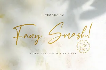 Fany Smash font