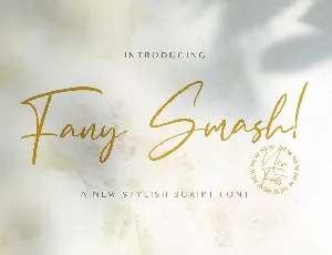 Fany Smash font