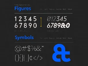 R-Flex Sans Serif font