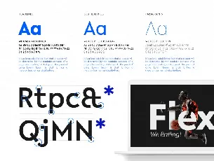 R-Flex Sans Serif font