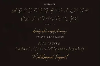 Rottis Amesty font