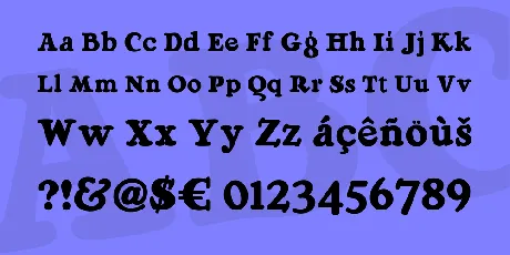 Ragg Mopp NF font