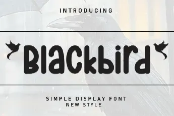 Blackbird Display font