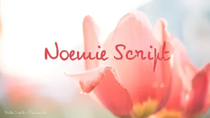 Noemie Script Free font