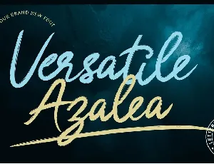 Versatile Azalea font