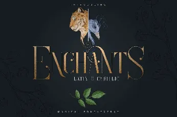 Enchants font