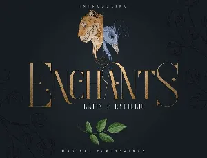 Enchants font