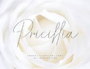 Pricillia Signature font