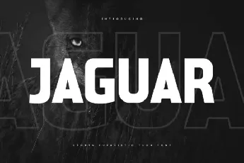 Jaguar font