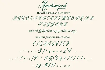 Anatomical font