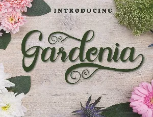 Gardenia Lovely Calligraphy Script font