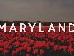 Maryland font