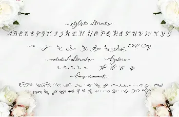 Nazeefa Script font