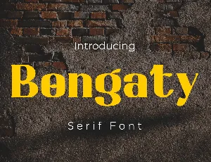 Bongaty font