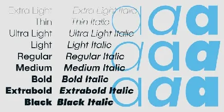 Publica Sans Family font