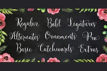 Mulberry Script font