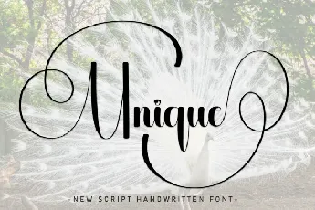 Unique Script font