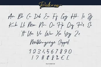 Richness font