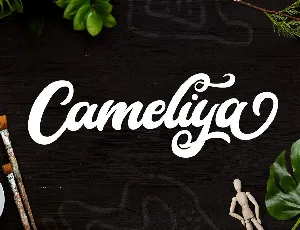 Cameliya Bold Calligraphy Script font