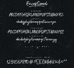 Exceptional font