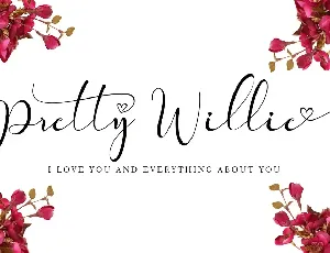 Pretty Willie font