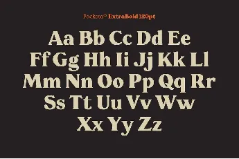 Pockota font