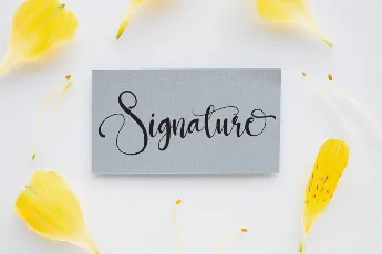 Strong Signature font