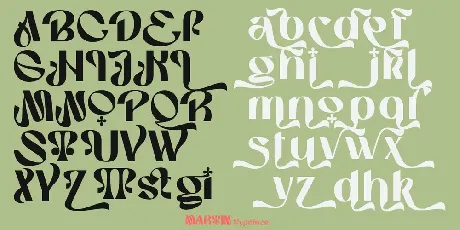 Martin Demo font